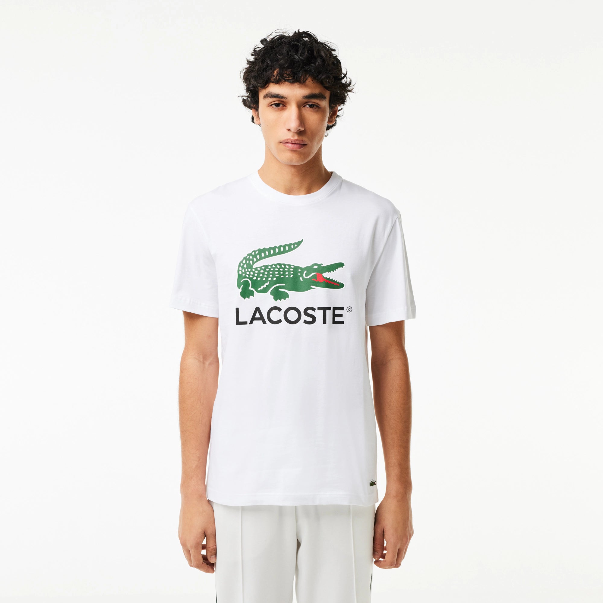 Men's Lacoste Cotton Jersey Signature Print T-Shirt White