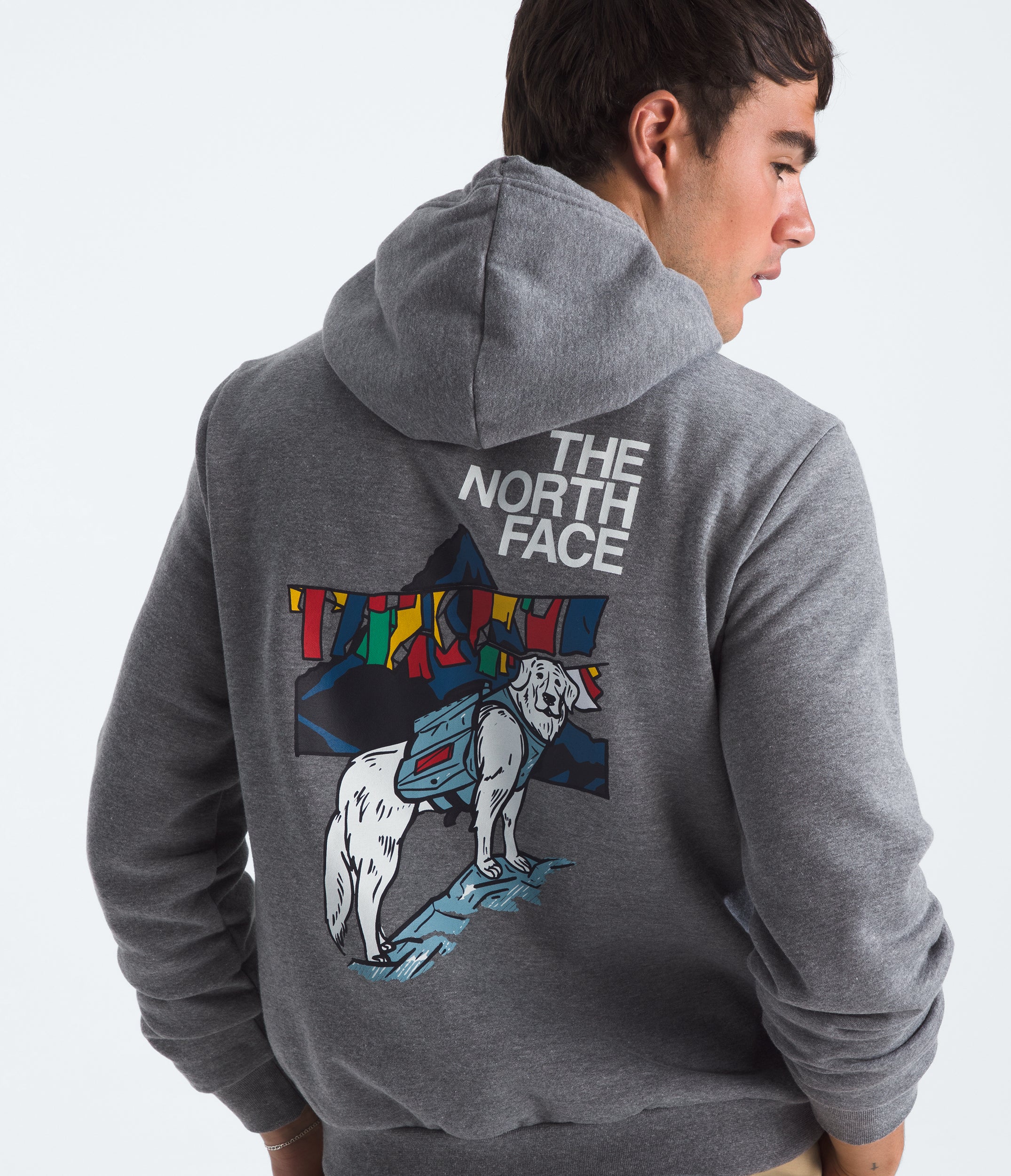 Men's The North Face Box Sunlit Summit Regular Hoodie TNF Mid Grey Heather