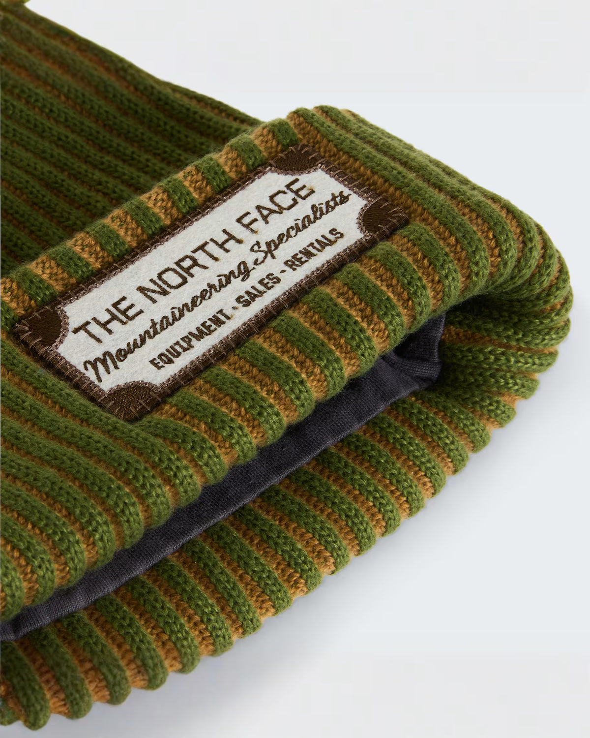 The North Face Salty Lined Special Edition Beanie Woodland Green