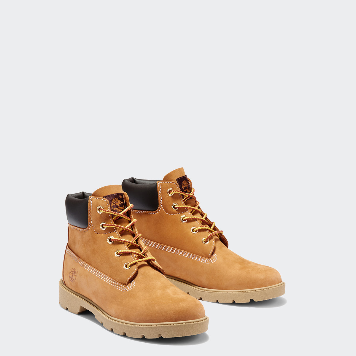 Kid's Timberland 6-Inch Classic Ankle Boots Wheat (TB010960713) | Chicago City Sports | front view
