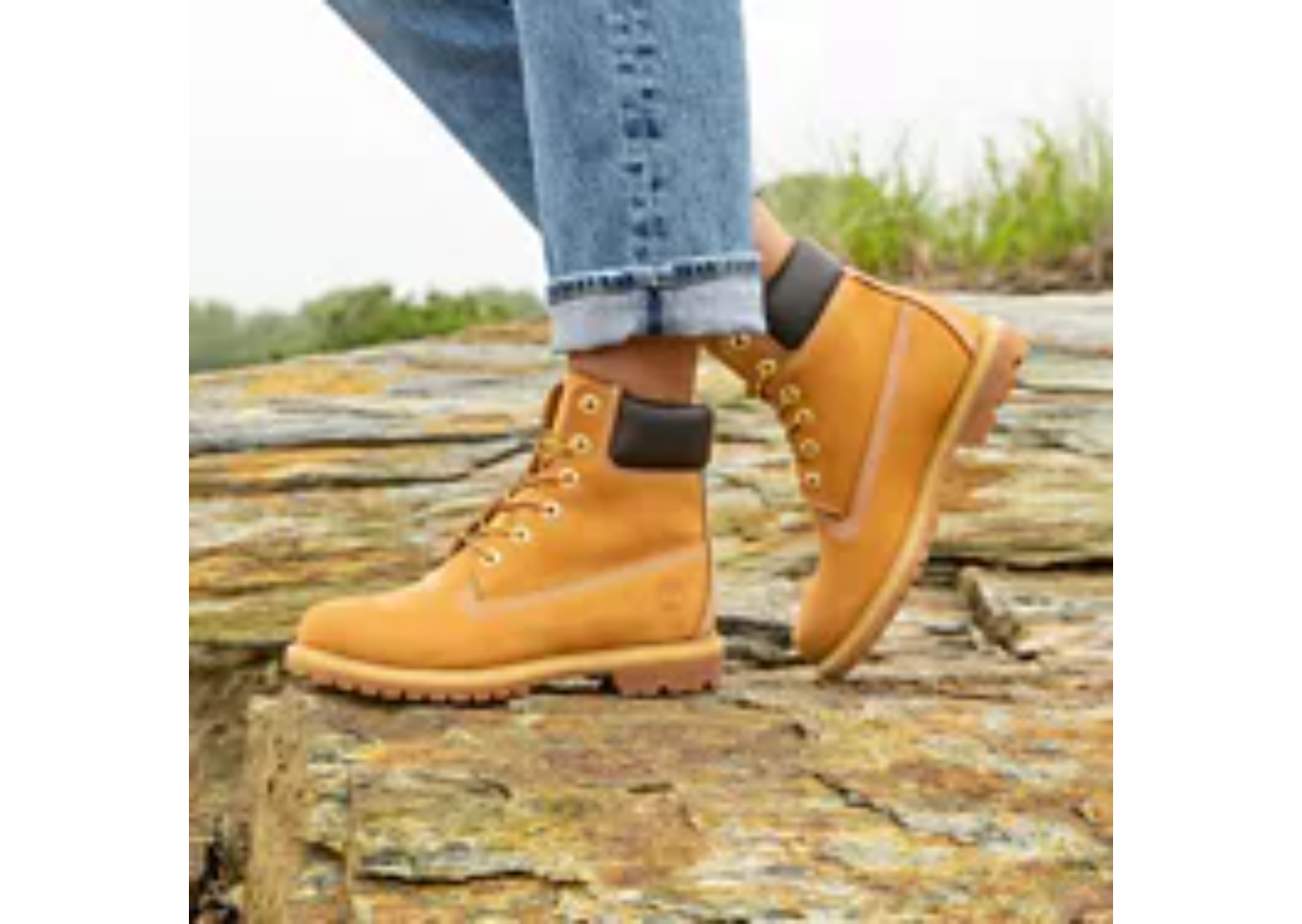 Women's Timberland Premium 6-Inch Waterproof Boots Wheat