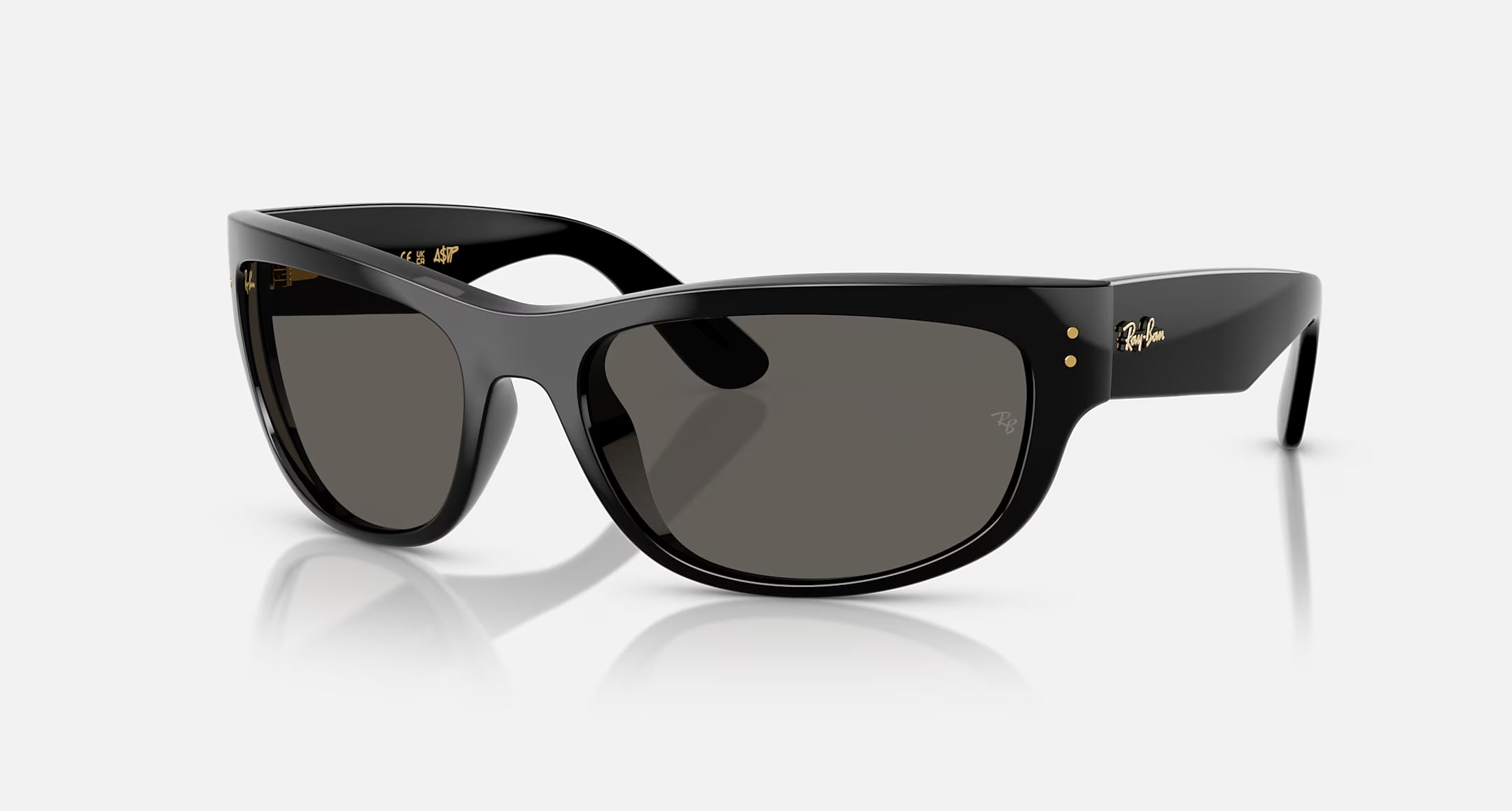 Ray-Ban Mega Balorama Blacked Out Sunglasses Polished Black