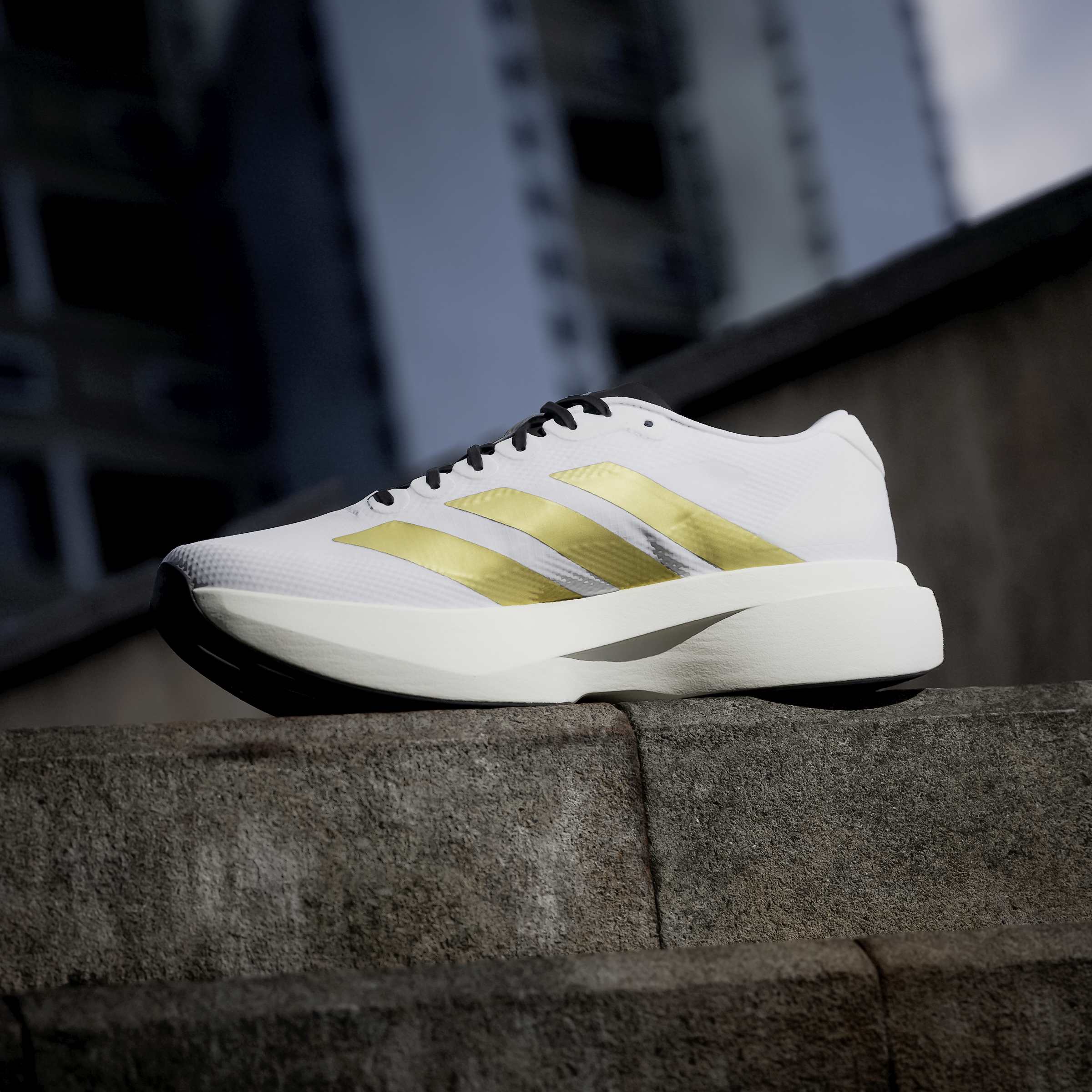 Men's adidas Running Adizero Evo SL Woven Shoes | Chicago City Sports