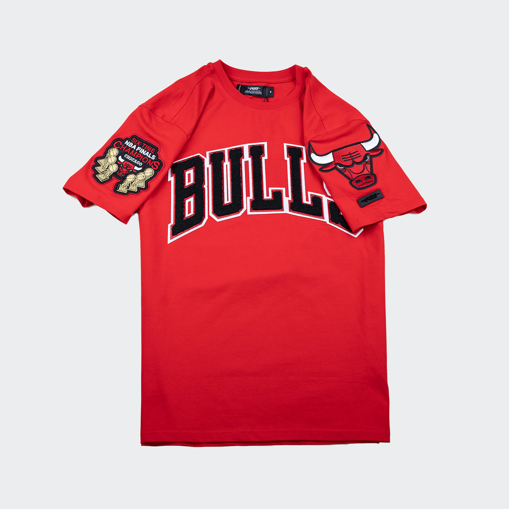 Men's Pro Standard Chicago Bulls Logo Shirt Red