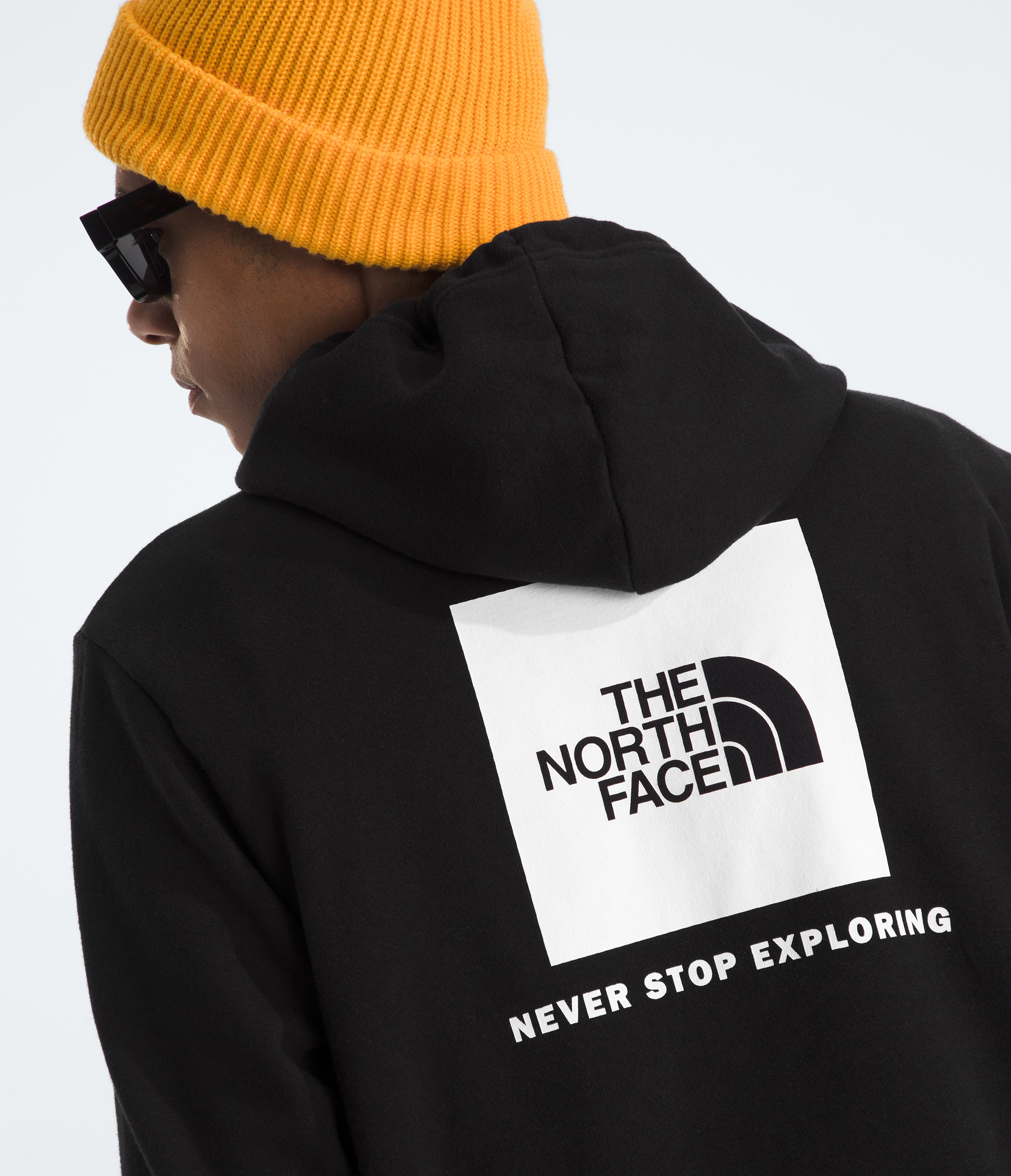The North Face Box Evolution Box NSE Hoodie | Chicago City Sports