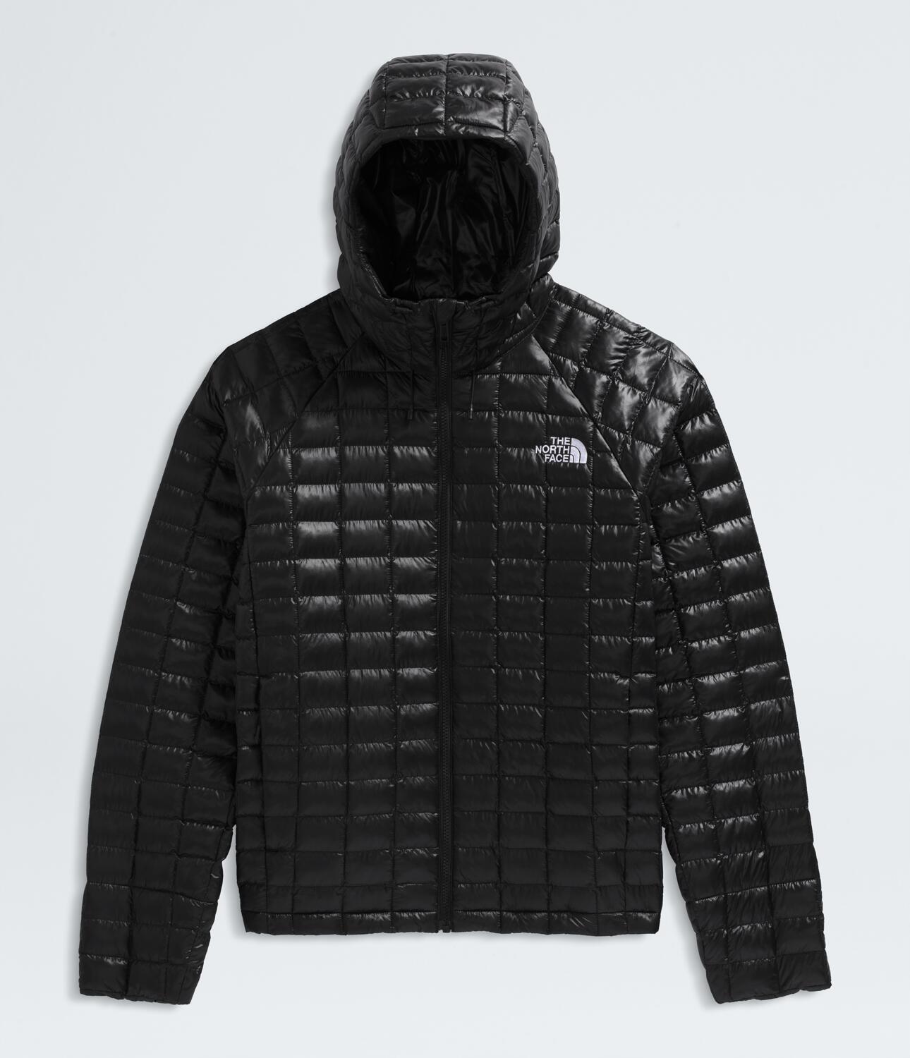 THE NORTH FACE ThermoBall ダウンジャケット img_4526.jpg