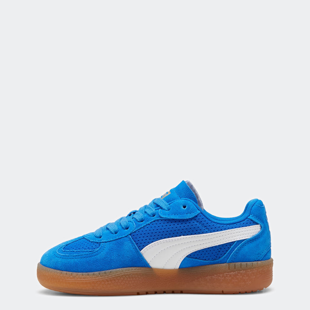 Puma shoes chicago top