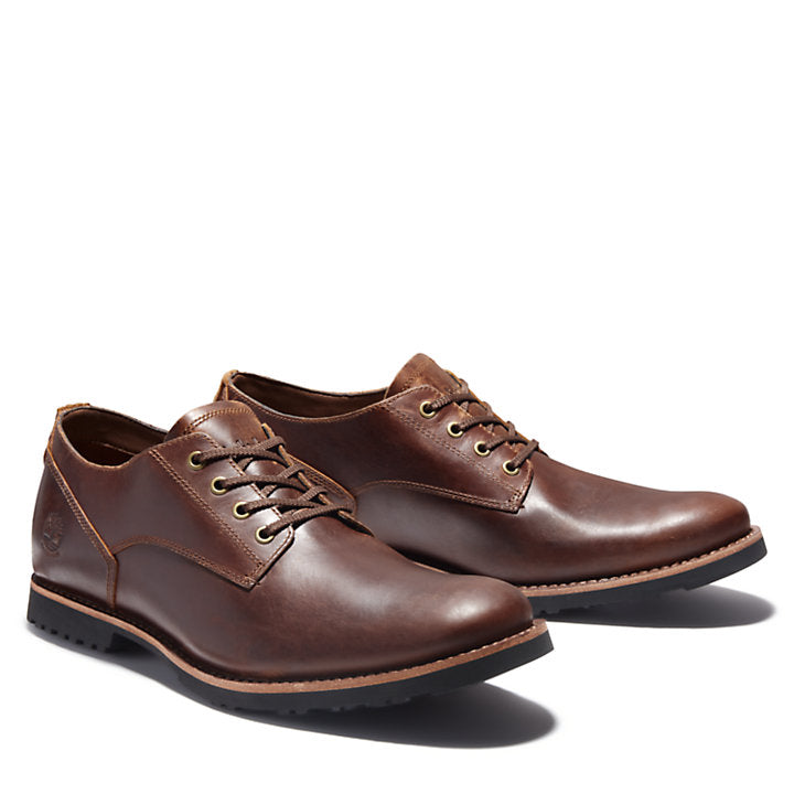 Men's Timberland Kendrick Waterproof Oxford Shoes Brown