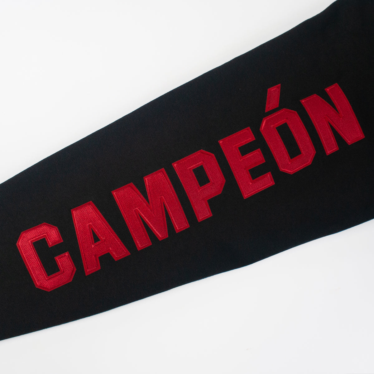 Champion men rw hoodie multi language new arrivals