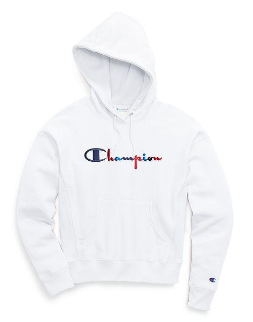 Champion tri color hoodie online